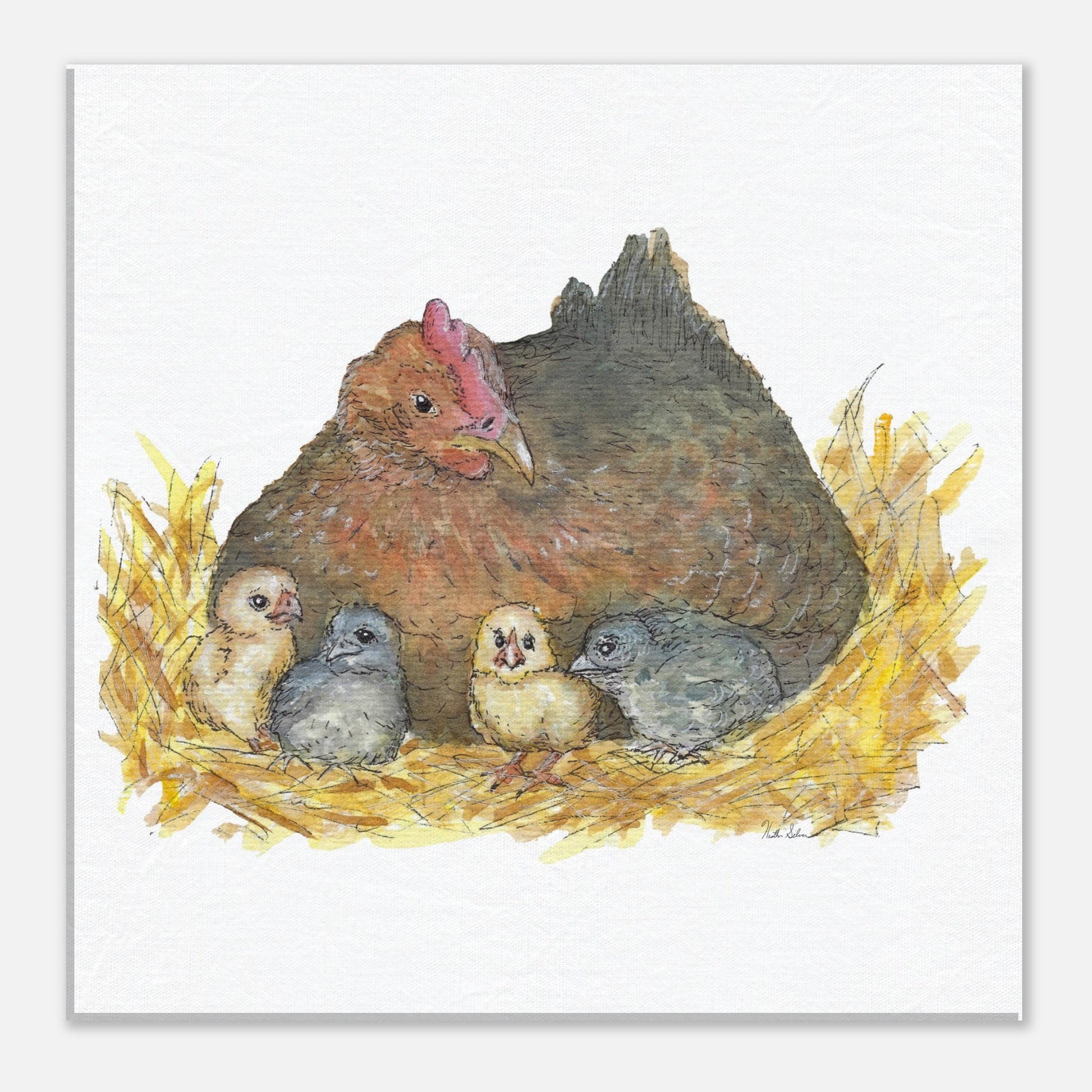 24 by 24 inch slim canvas Mother Hen print. Features a watercolor mother hen and her four chicks in a nest.