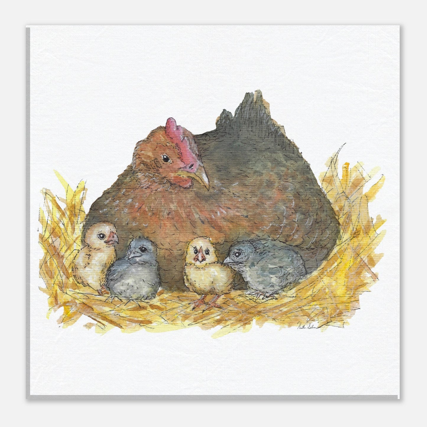 20 by 20 inch slim canvas Mother Hen print. Features a watercolor mother hen and her four chicks in a nest.