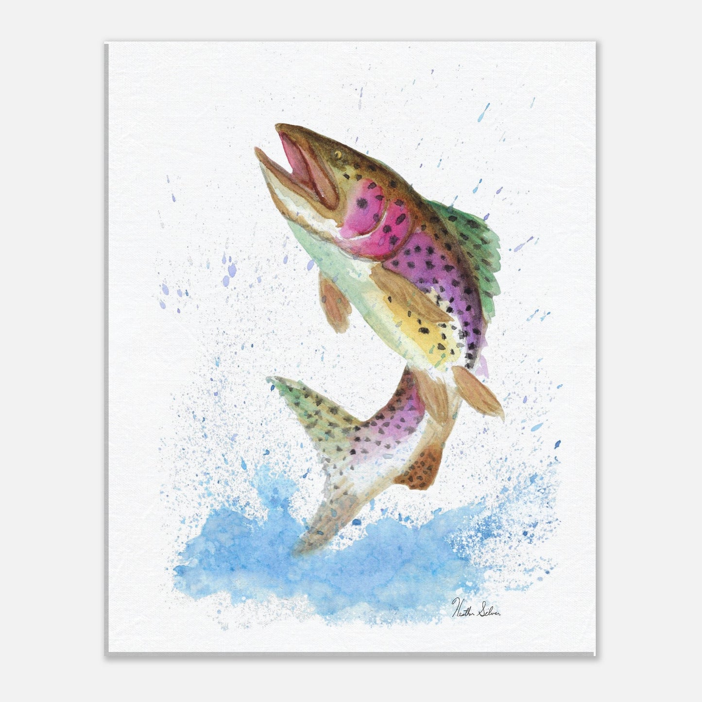 12 by 16 inch slim canvas wall art print featuring a watercolor painting of a rainbow trout leaping from the water. Hanging hardware included.