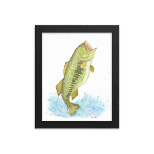 8x10 museum quality giclee printed matte poster paper art print in black ayous wood frame. Print design is an original watercolor largemouth bass painting. Has an acrylite cover and hanging hardware included.